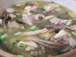 鹿茸菇炖鸡的做法