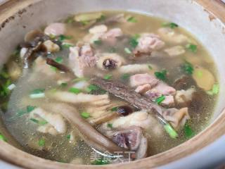 鹿茸菇炖鸡的做法步骤：12