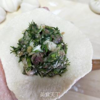 茴香肉包的做法步骤：13