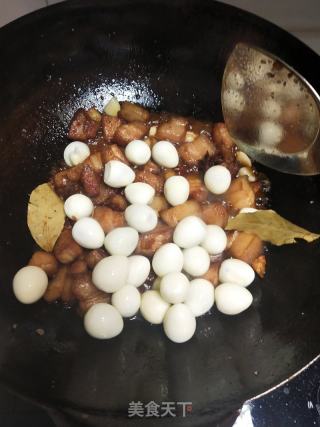 家庭版红烧肉的做法步骤：10