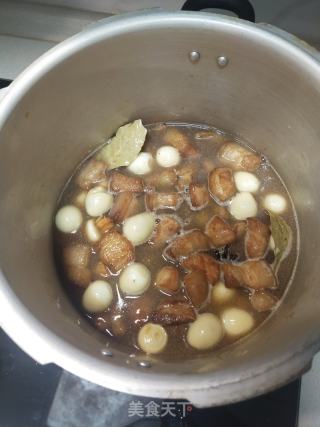 家庭版红烧肉的做法步骤：13