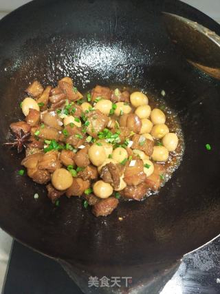 家庭版红烧肉的做法步骤：15
