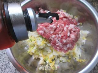 大娃娃菜肉馅荞麦饺子的做法步骤：7