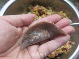大娃娃菜肉馅荞麦饺子的做法步骤：13