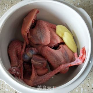 红参鸽子汤的做法步骤：4