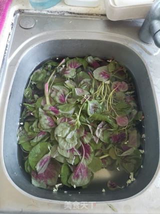 蒜香马苋菜的做法步骤：2