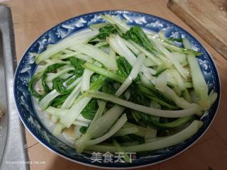 炒海白菜的做法步骤：4