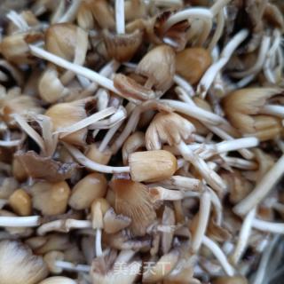 肉沫鸡枞花卤菠菜面的做法步骤：1