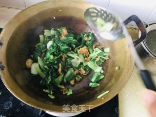 油渣炒小白菜的做法步骤：12