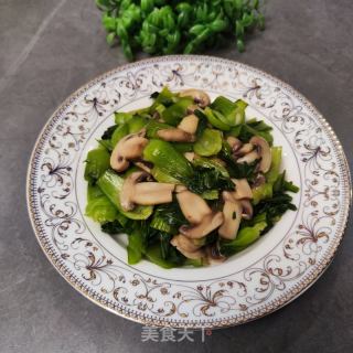 蘑菇炒小白菜的做法步骤：8