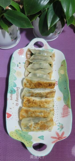 韭菜鲜肉锅贴的做法步骤：10