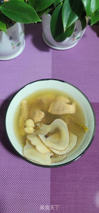 海底椰苹果炖瘦肉汤的做法步骤：8