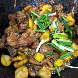 板栗焖鸡的做法步骤：14