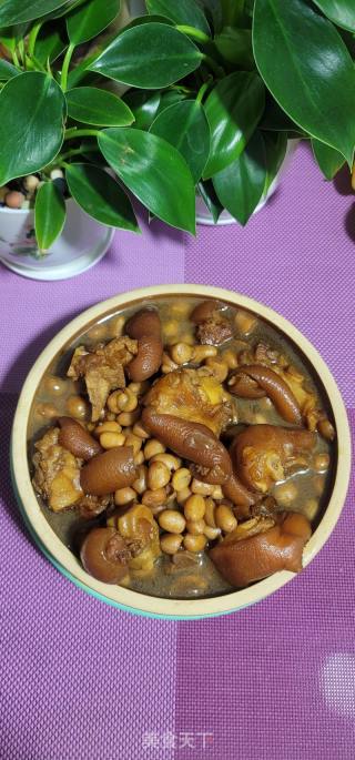 花生焖猪蹄的做法步骤：11
