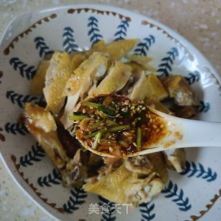口水鸡的做法步骤：7
