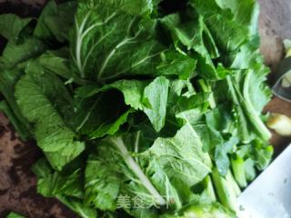 春菜龙骨汤的做法步骤：6