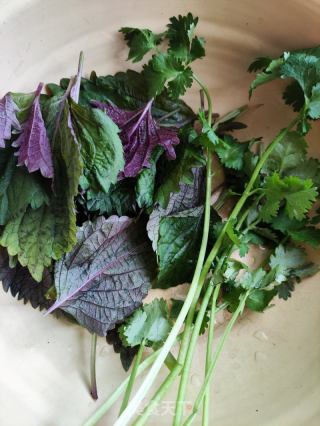紫苏肉丝炒白瓜的做法步骤：4