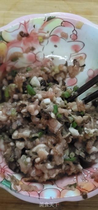 鹿茸菇猪肉云吞的做法步骤：4