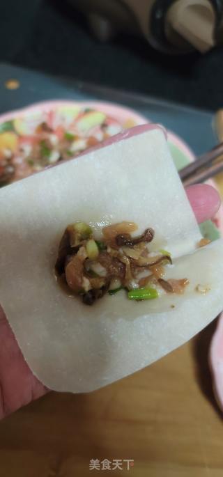鹿茸菇猪肉云吞的做法步骤：5
