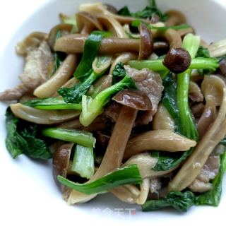 梅花肉炒鹿茸菇的做法步骤：14