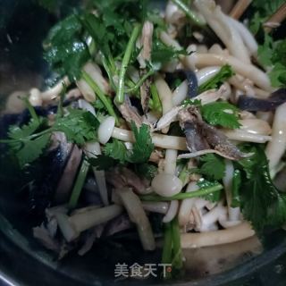 白玉菇香菜拌乌鸡的做法步骤：12