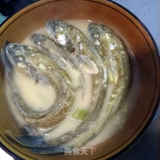 清炖光鱼的做法步骤：17