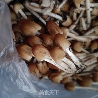小鸡枞菌青菜虾皮面的做法步骤：2