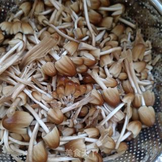 小鸡枞菌青菜虾皮面的做法步骤：3