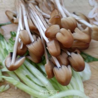 小鸡枞菌青菜虾皮面的做法步骤：5