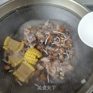 小鸡枞菌龙骨汤的做法步骤：12
