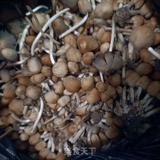 龙骨白菜炖小鸡枞菌的做法步骤：6