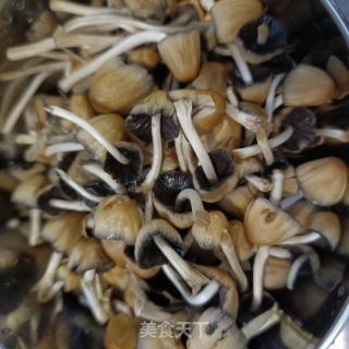 龙骨白菜炖小鸡枞菌的做法步骤：7