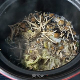 龙骨白菜炖小鸡枞菌的做法步骤：10