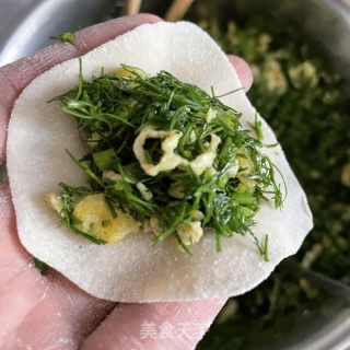 茴香鸡蛋水饺的做法步骤：7