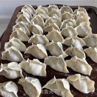 茴香鸡蛋水饺的做法步骤：8