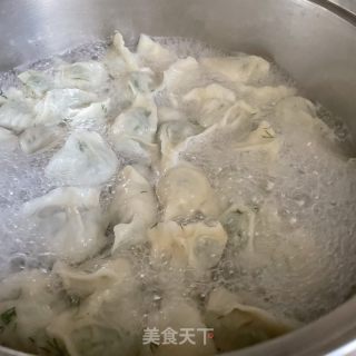 茴香鸡蛋水饺的做法步骤：9