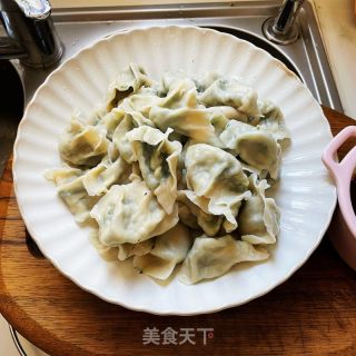 茴香鸡蛋水饺的做法步骤：10
