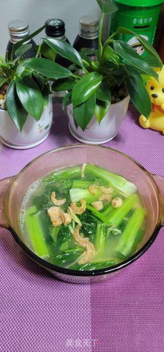 瑶柱虾米芥菜汤的做法步骤：10