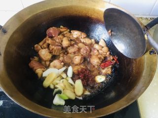 家庭版大盘鸡的做法步骤：6