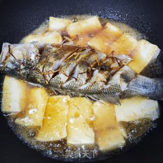豆腐烧鲈鱼的做法步骤：8