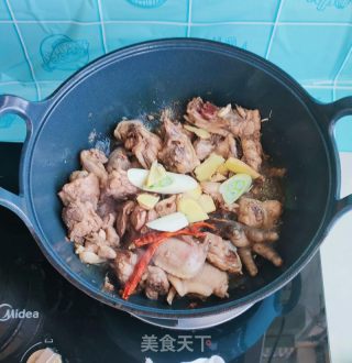 炖鸡块贴玉米面饼子的做法步骤：7
