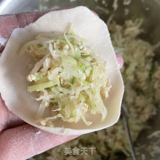 萝卜豆腐水饺的做法步骤：9