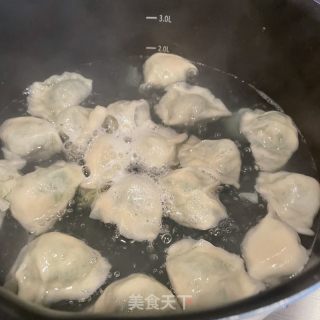 酸汤茴香饺子的做法步骤：8