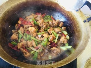 家常小公鸡的做法步骤：11