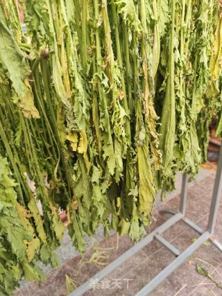 腌芥菜的做法步骤：2