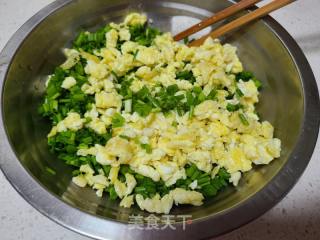 香葱鸡蛋馅饺子的做法步骤：4