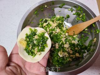 香葱鸡蛋馅饺子的做法步骤：9