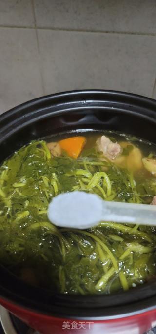 腊鸭肾西洋菜猪骨汤的做法步骤：10