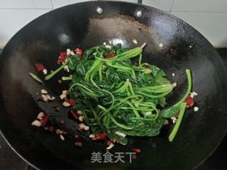 炝炒菠菜的做法步骤：7