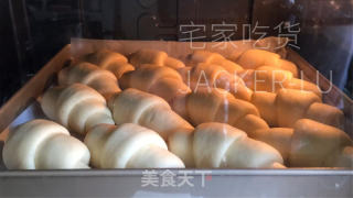 波兰种小餐包，松软拉丝，奶香味十足，配杯热牛奶，暖心又暖胃。的做法步骤：16